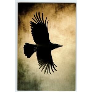 Vintage Photochrome Raven Bird in Flight Artistic Postcard 5.5x4"